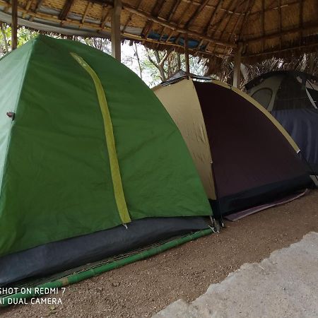 Drunken Monkey Camping Site Hotel ฮัมปี ภายนอก รูปภาพ