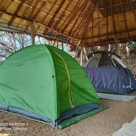Drunken Monkey Camping Site Hotel ฮัมปี ภายนอก รูปภาพ