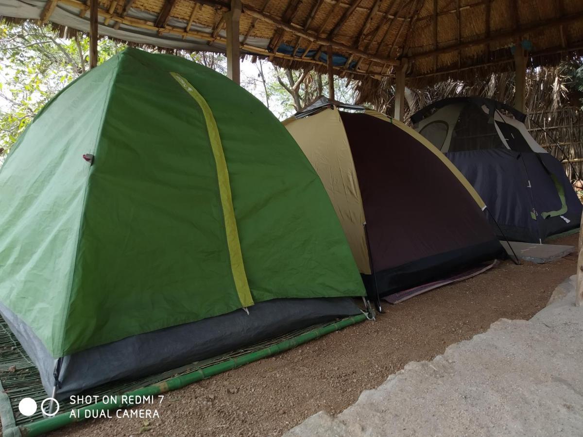 Drunken Monkey Camping Site Hotel ฮัมปี ภายนอก รูปภาพ