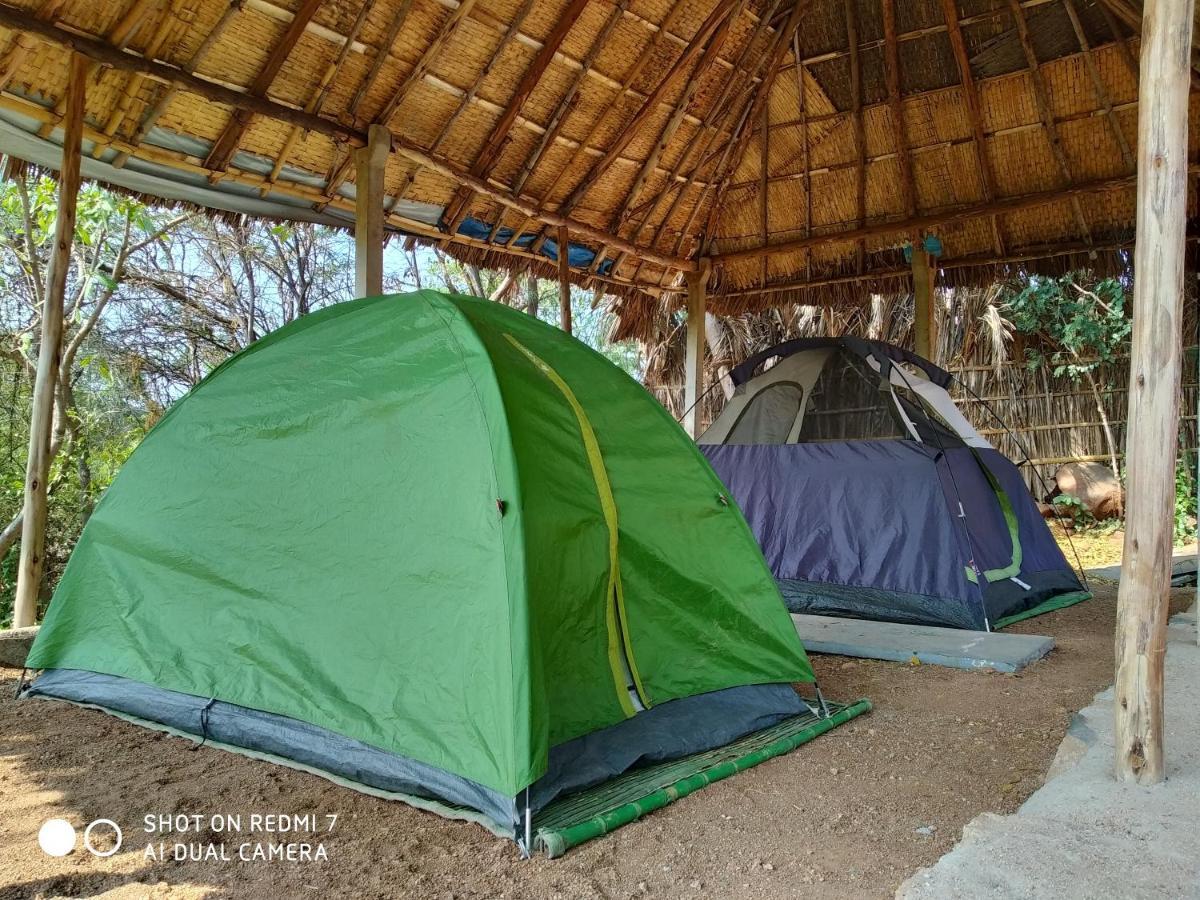 Drunken Monkey Camping Site Hotel ฮัมปี ภายนอก รูปภาพ