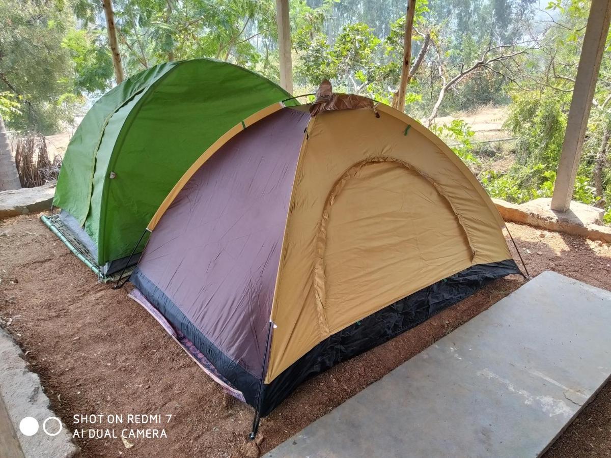 Drunken Monkey Camping Site Hotel ฮัมปี ภายนอก รูปภาพ