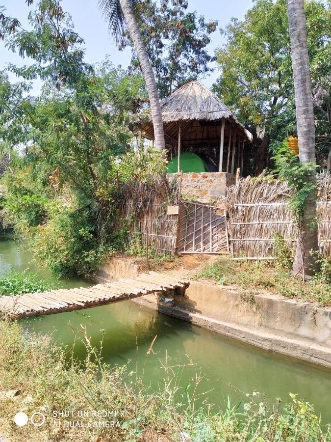 Drunken Monkey Camping Site Hotel ฮัมปี ภายนอก รูปภาพ