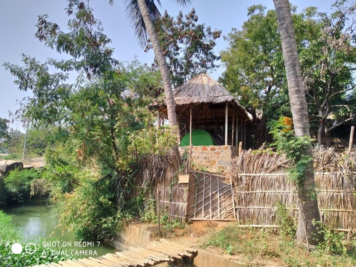 Drunken Monkey Camping Site Hotel ฮัมปี ภายนอก รูปภาพ