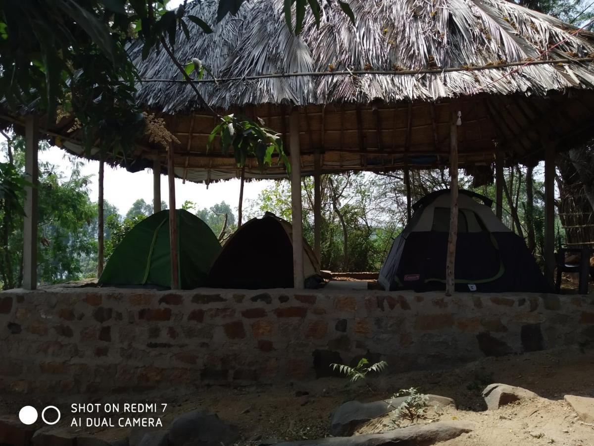 Drunken Monkey Camping Site Hotel ฮัมปี ภายนอก รูปภาพ
