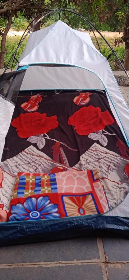 Drunken Monkey Camping Site Hotel ฮัมปี ภายนอก รูปภาพ
